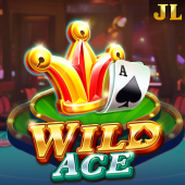 Wild Ace nanogaming slot